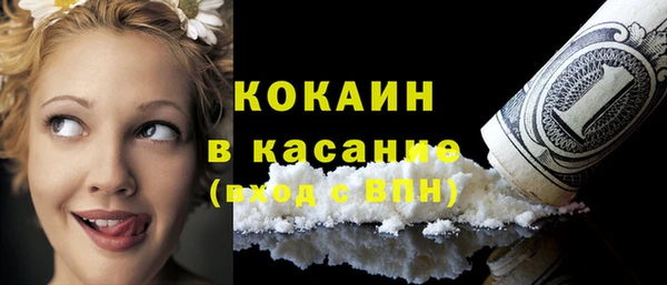 прущие грибы Балахна