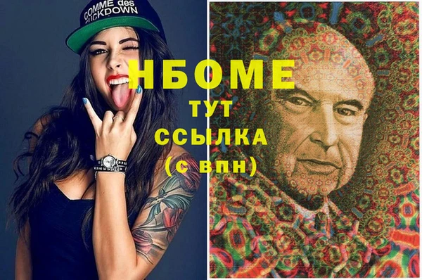 прущие грибы Балахна