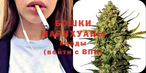 гашик Пестово