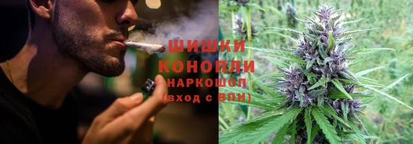 гашик Пестово