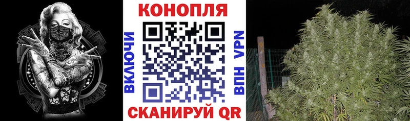 цены   Лакинск  Каннабис конопля 